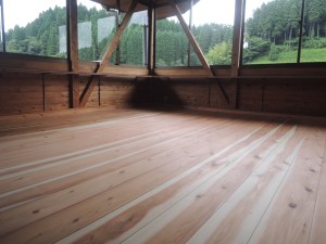 aso-oguni-sugi-lab-2