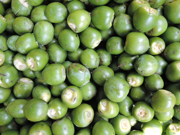 DSCN0147のコピー