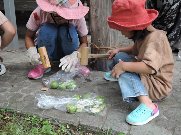 DSCN2695のコピー